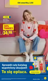Lidl gazetka Strona 17