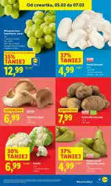 Lidl gazetka Strona 19