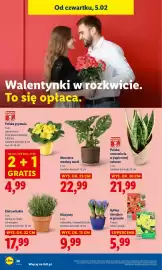 Lidl gazetka Strona 40