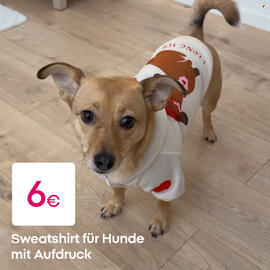 PEPCO Prospekt Seite 4