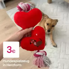 PEPCO Prospekt Seite 3