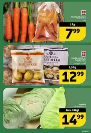 Løvbjerg tilbudsavis uge 6 Side 17