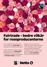 Netto tilbudsavis uge 6 Side 13