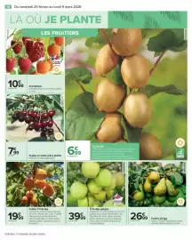 Catalogue Carrefour page 12