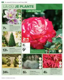 Catalogue Carrefour page 8