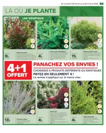 Catalogue Carrefour page 9