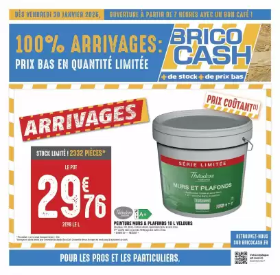 Catalogue Brico Cash (valable jusqu'au 12-02)