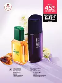 Catálogo Avon Página 65