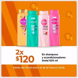 Folleto Chedraui Página 2