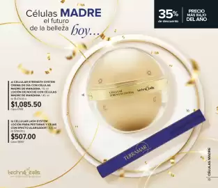 Catálogo Terramar Brands Página 13