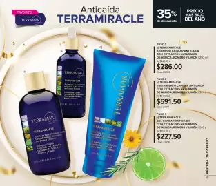 Catálogo Terramar Brands Página 19