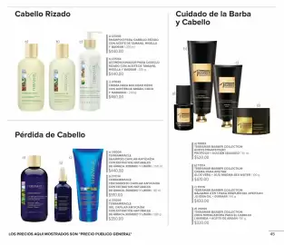 Catálogo Terramar Brands Página 45