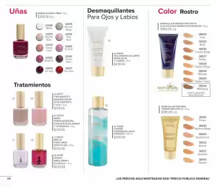 Catálogo Terramar Brands Página 46