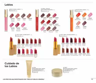 Catálogo Terramar Brands Página 49