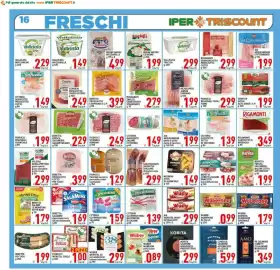 Volantino Iper Triscount Pagina 16