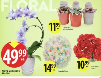 Save on Foods flyer week 6 Page 9