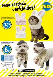 Tedi gazetka Strona 7