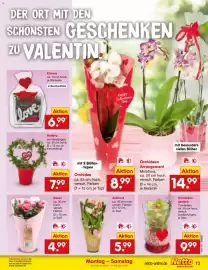 Netto Marken-Discount Prospekt woche 7 Seite 13
