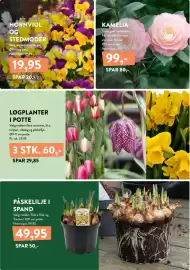 Plantorama tilbudsavis Side 15