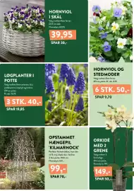 Plantorama tilbudsavis Side 16