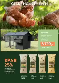 Plantorama tilbudsavis Side 17