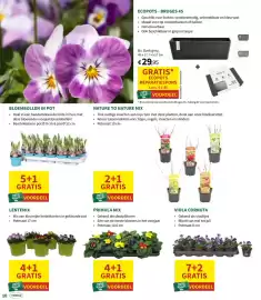 Horta folder Pagina 10