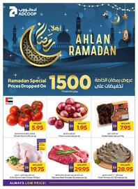 Abu Dhabi Coop leaflet week 6 Page 40