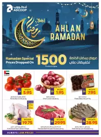 Abu Dhabi Coop leaflet week 6 Page 40