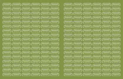 Catálogo Roche Bobois Página 22