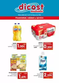 Folleto Dicost Página 1