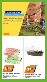 Catálogo Action semana 6 Página 16