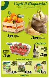 Volantino Coop Radenza settimana 6 Pagina 16