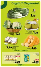 Volantino Coop Radenza settimana 6 Pagina 17