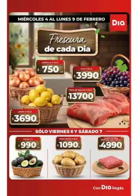 Folleto Supermercados DIA (válido hasta 9-02)