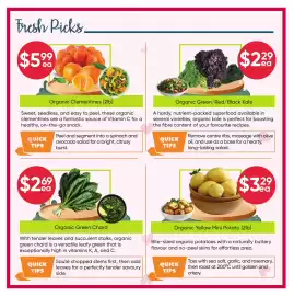 Healthy Planet flyer Page 2