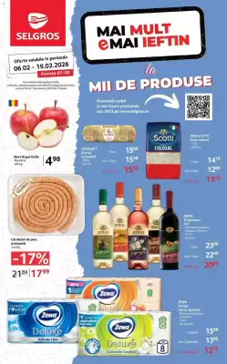 Catalog Selgros (valid până la 19-02)