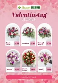 Blumen Risse Prospekt Seite 2