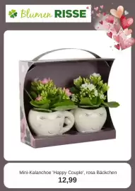 Blumen Risse Prospekt Seite 4