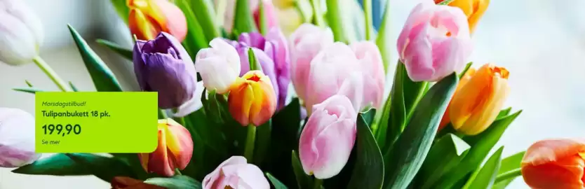 Hageland kundeavis uke 6 Side 1