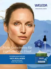 Dm Flugblatt Seite 29