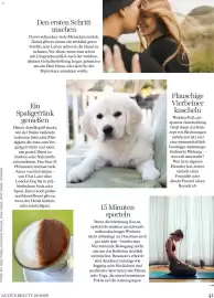 Dm Flugblatt Seite 41