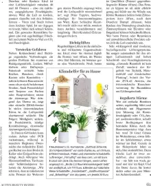 Dm Flugblatt Seite 61