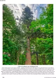 Dm Flugblatt Seite 82