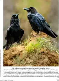 Dm Flugblatt Seite 83