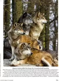 Dm Flugblatt Seite 85