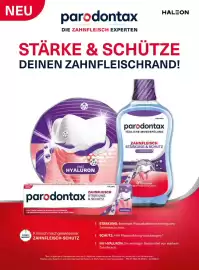 Dm Flugblatt Seite 91