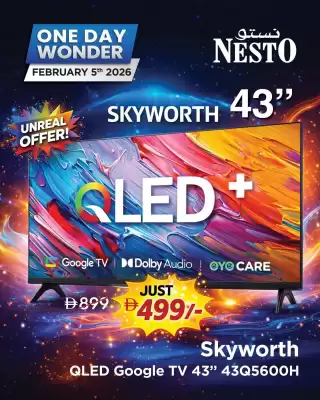 Nesto catalogue (valid until 5-02)
