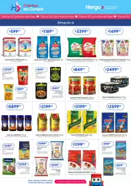 Revista Hergo semana 6 Página 2