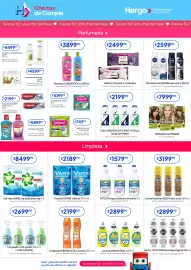 Revista Hergo semana 6 Página 4