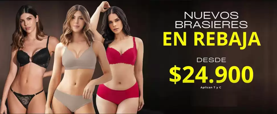 Catálogo Vanessa (válido hasta 8-02)